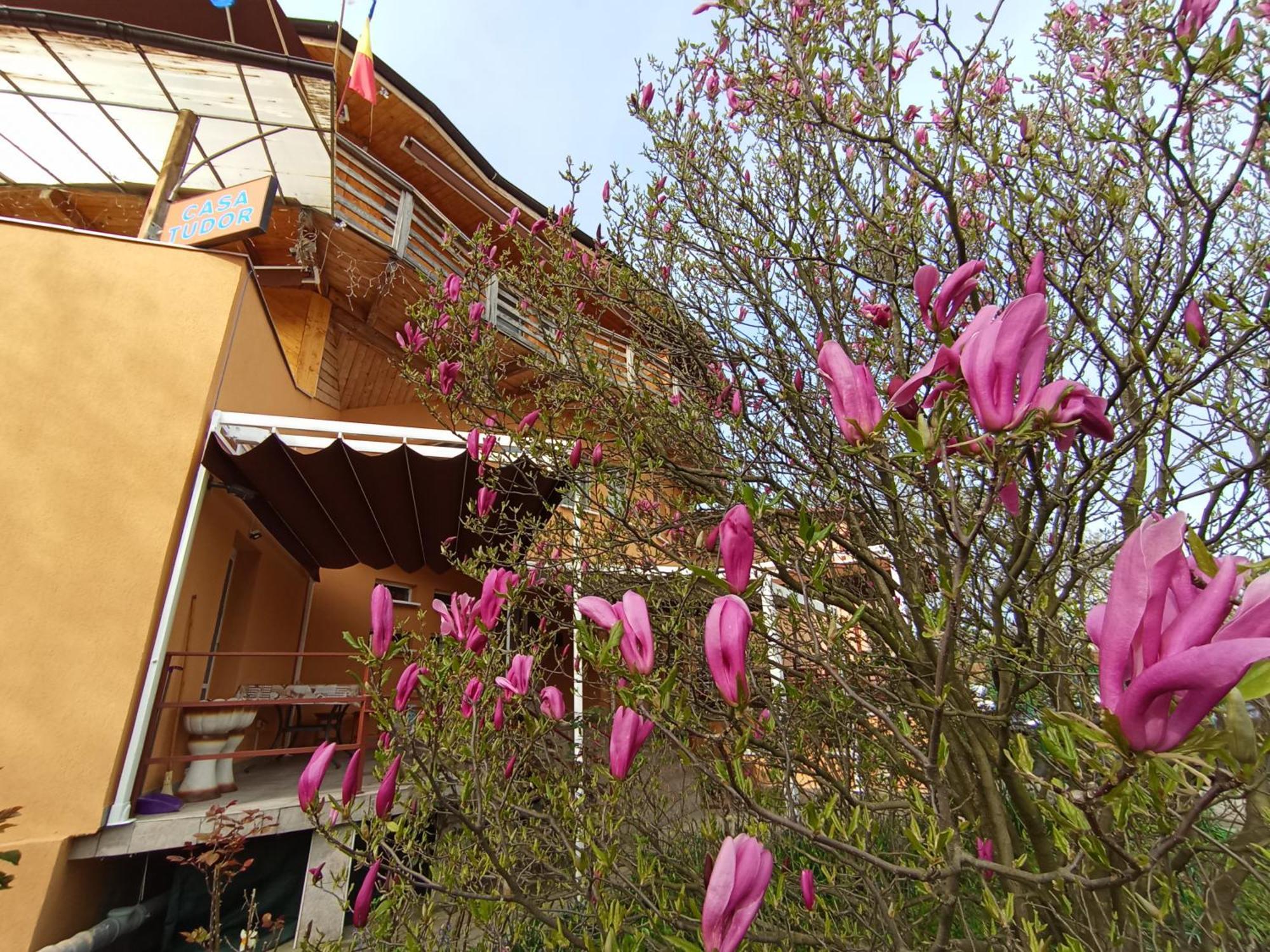 Casa Tudor Turda Exteriér fotografie